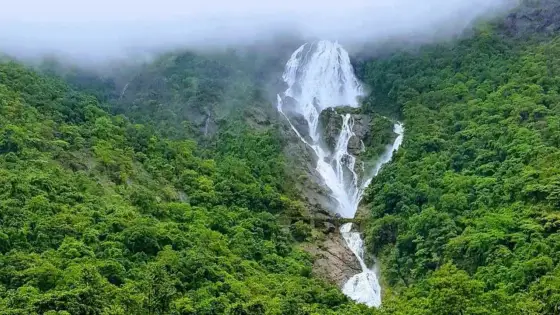 Scenic view of Dudhsagar Falls, Dandeli & Yellapura