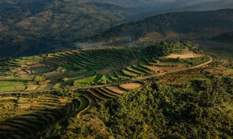 Kodaikanal Backpack Trip