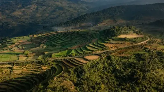 Scenic view of Kodaikanal, Tamil Nadu
