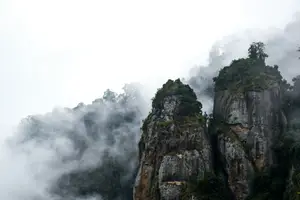 Kodaikanal, Tamil Nadu - photo 1