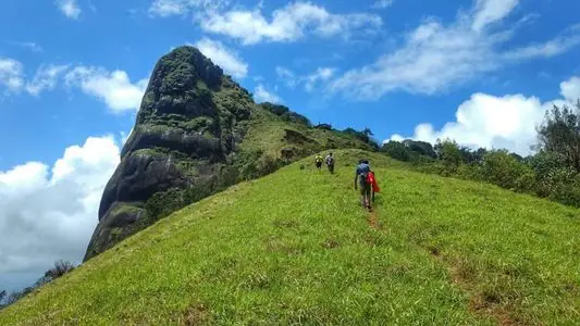 Scenic view of Kurinjal Peak, Mudigere, Western Ghats
