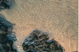 Netrani Island, Murdeshwar, Honnavara & Gokarna - photo 6